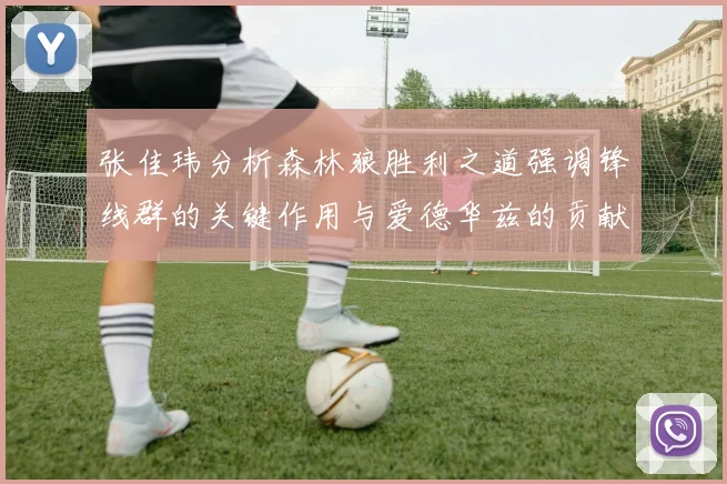 张佳玮分析森林狼胜利之道强调锋线群的关键作用与爱德华兹的贡献